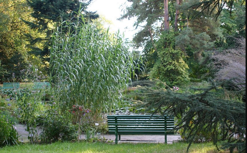 Greifswald Botanic Garden and Arboretum, Germany